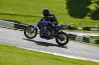 cadwell-no-limits-trackday;cadwell-park;cadwell-park-photographs;cadwell-trackday-photographs;enduro-digital-images;event-digital-images;eventdigitalimages;no-limits-trackdays;peter-wileman-photography;racing-digital-images;trackday-digital-images;trackday-photos